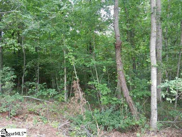 0 Wingo Road Landrum, SC 29356 - Photo 23 of 33 Gallery Image 23