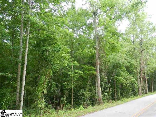 0 Wingo Road Landrum, SC 29356 - Photo 24 of 33 Gallery Image 24