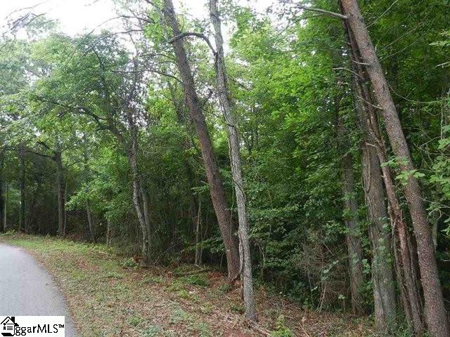 0 Wingo Road Landrum, SC 29356 - Photo 26 of 33 Gallery Image 26