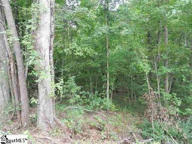 0 Wingo Road Landrum, SC 29356 - Photo 27 of 33 Gallery Image 27