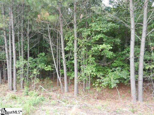 0 Wingo Road Landrum, SC 29356 - Photo 28 of 33 Gallery Image 28