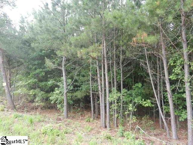 0 Wingo Road Landrum, SC 29356 - Photo 29 of 33 Gallery Image 29