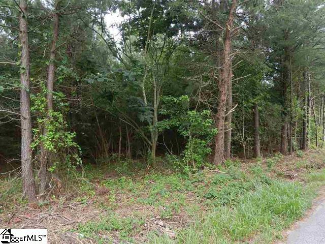 0 Wingo Road Landrum, SC 29356 - Photo 30 of 33 Gallery Image 30