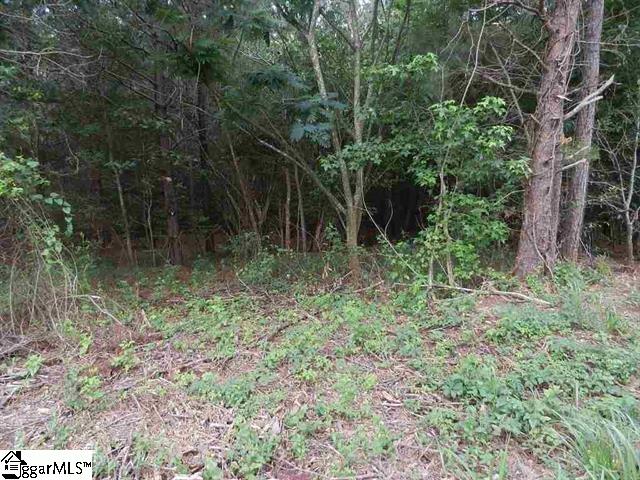 0 Wingo Road Landrum, SC 29356 - Photo 32 of 33 Gallery Image 32