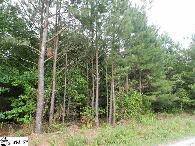 0 Wingo Road Landrum, SC 29356 - Photo 33 of 33 Gallery Image 33