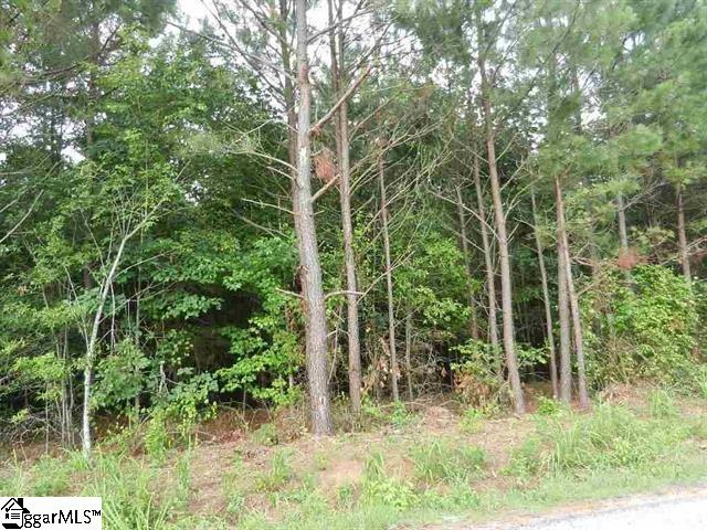 0 Wingo Road Landrum, SC 29356 - Photo 5 of 33 Gallery Image 5