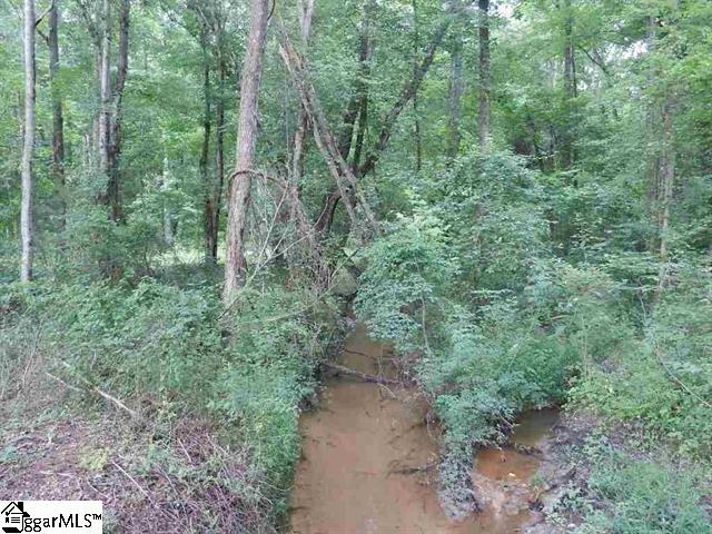 0 Wingo Road Landrum, SC 29356 - Photo 6 of 33 Gallery Image 6