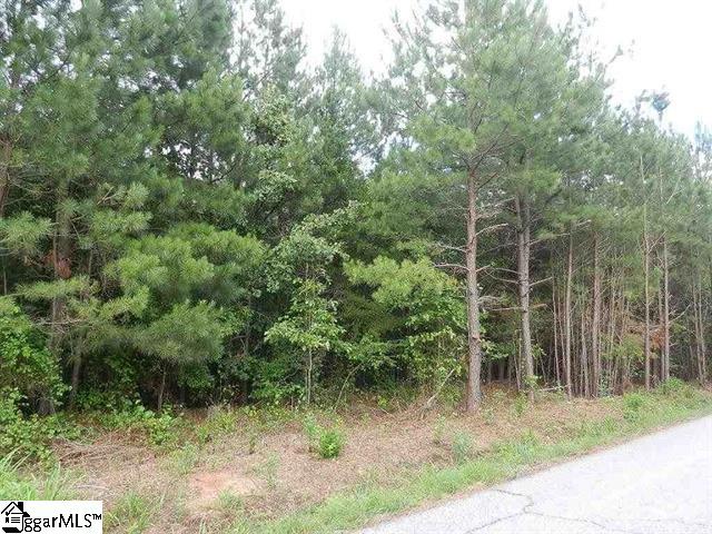 0 Wingo Road Landrum, SC 29356 - Photo 7 of 33 Gallery Image 7