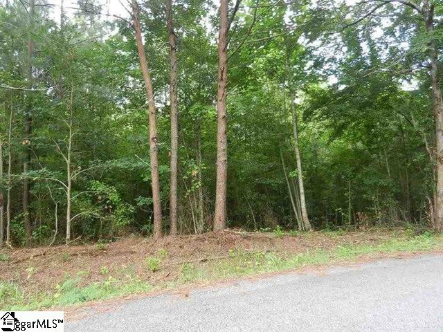 0 Wingo Road Landrum, SC 29356 - Photo 8 of 33 Gallery Image 8