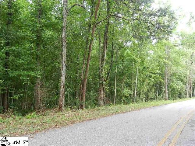 0 Wingo Road Landrum, SC 29356 - Photo 10 of 33 Gallery Image 10