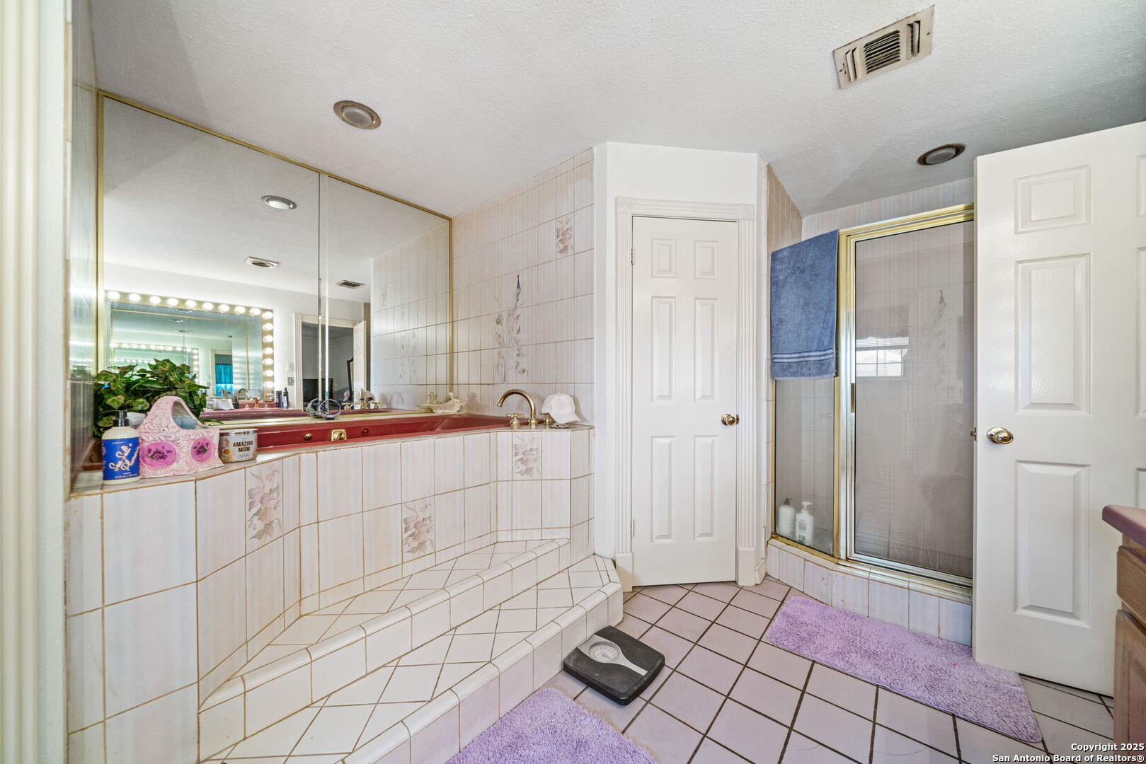 210 Tolle Road Cibolo, TX 78108 - Photo 23 of 61 a bathroom with a sink mirror and shower