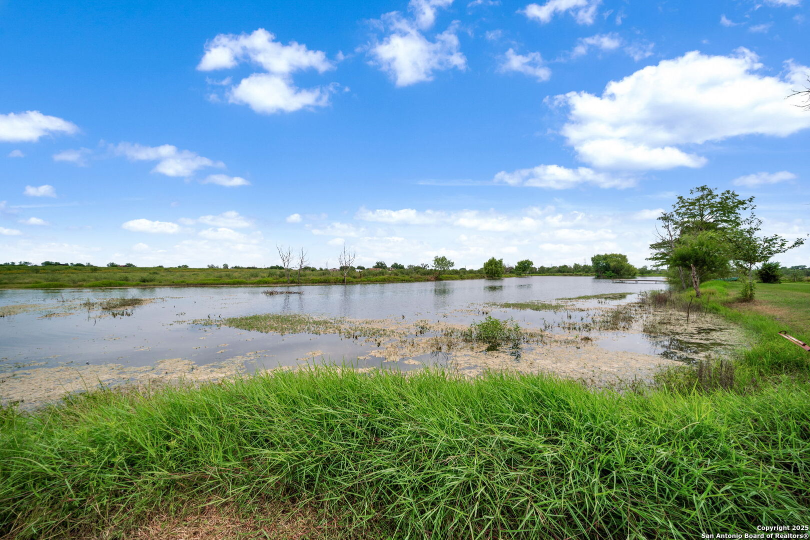 210 Tolle Road Cibolo, TX 78108 - Photo 29 of 61 a view of a lake from a yard