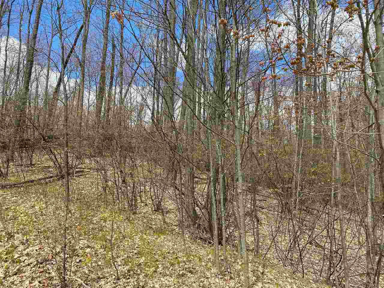 435 East Townline Lake Road Harrison, MI 48625 - Photo 3 of 24