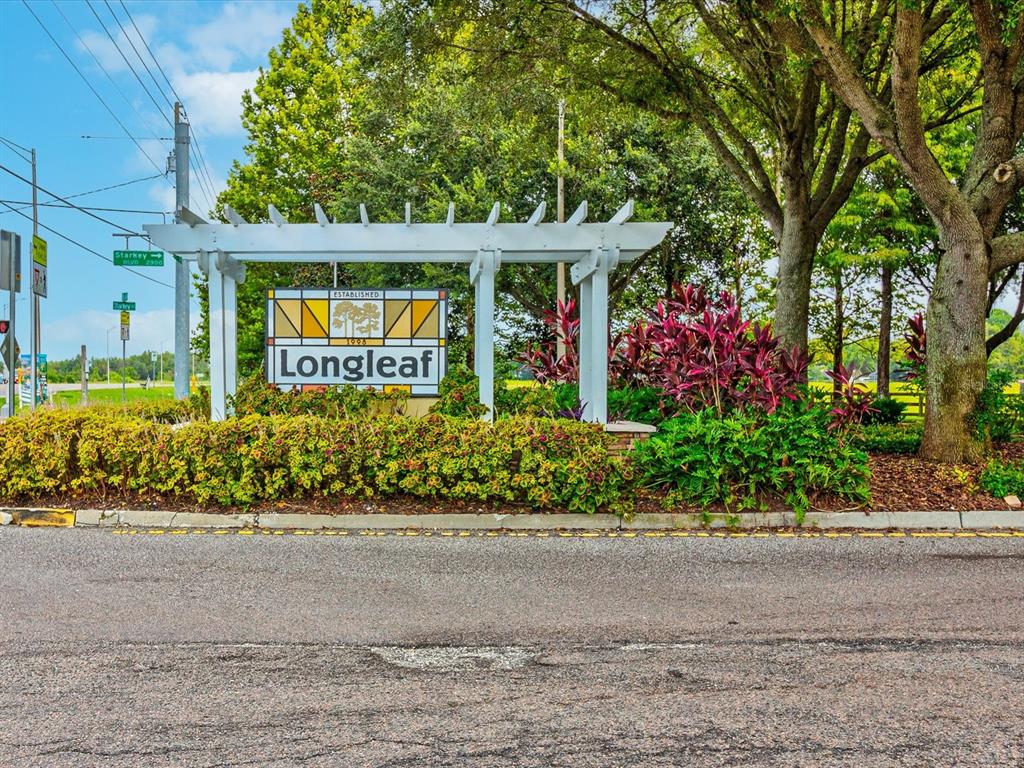 3746 Dogtrot Street New Port Richey, FL 34655 - Photo 45 of 50