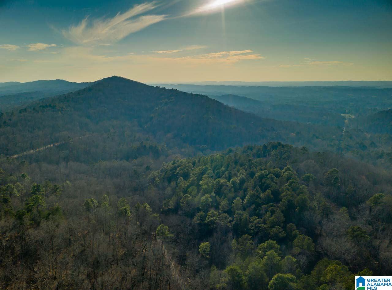 8150 Dunnavant Road, Unit 1 Leeds, AL 35094 - Photo 7 of 29