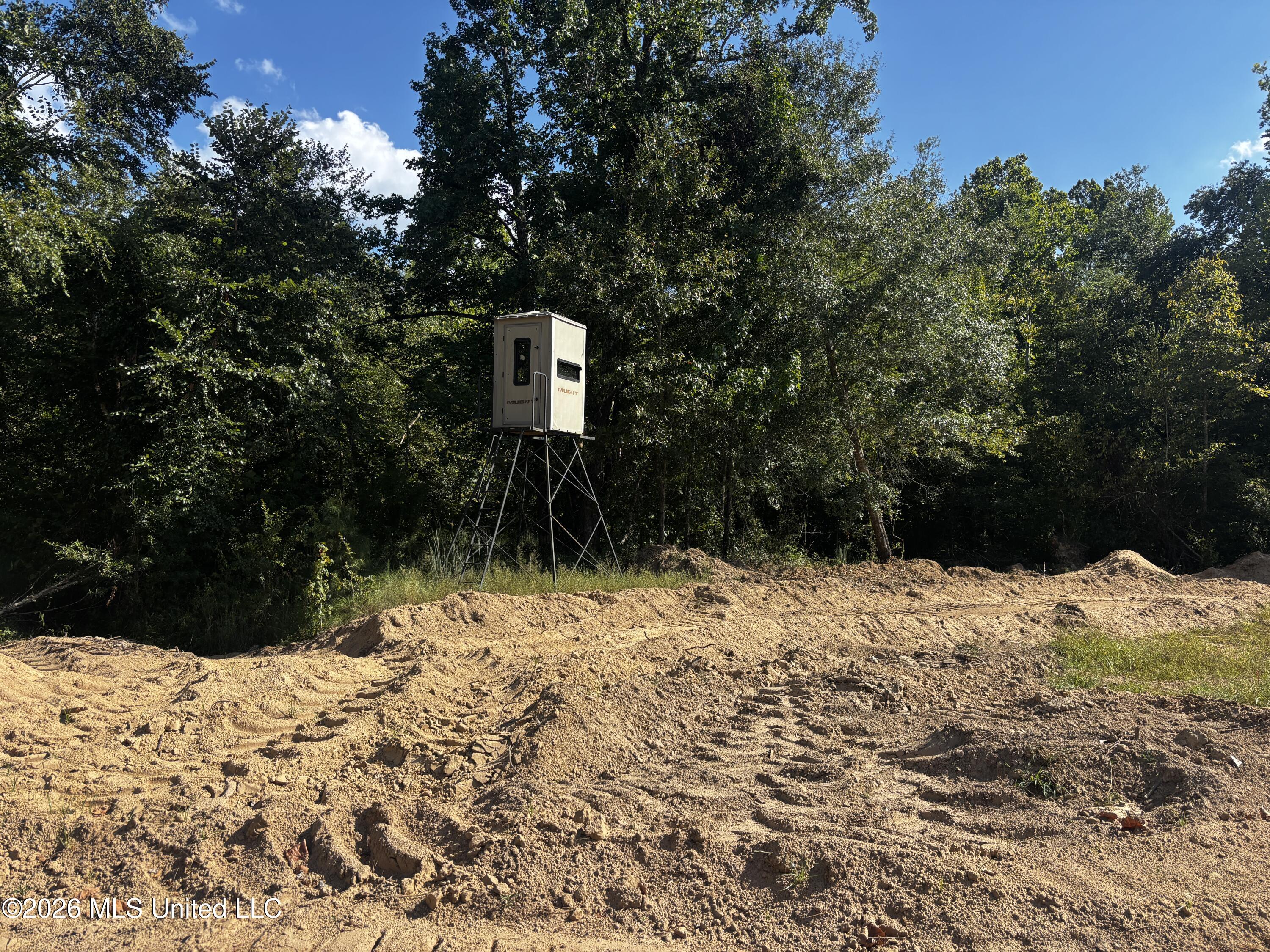 Shook Road Cascilla, MS 38920 - Photo 15 of 18 15