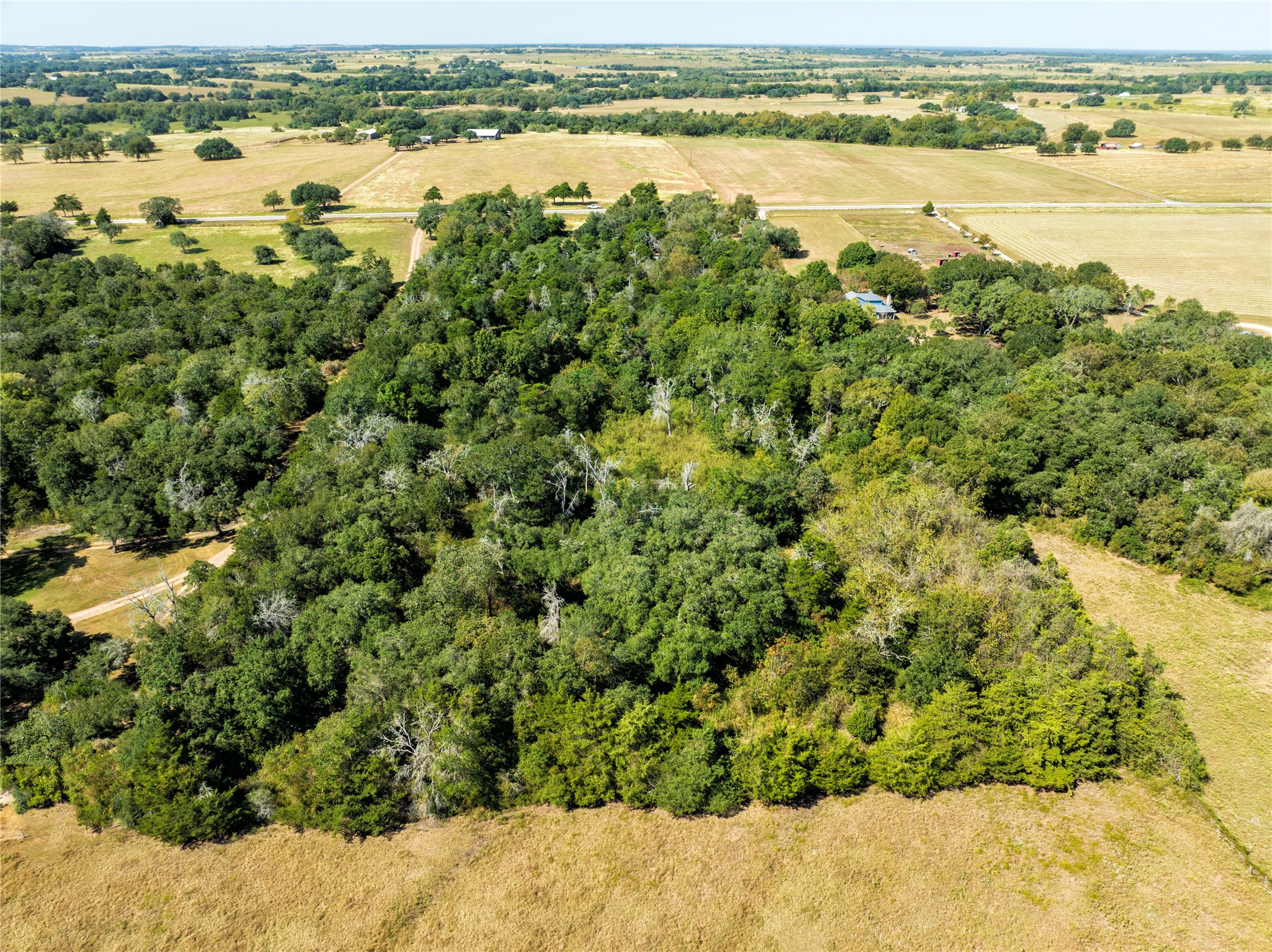 0 Fm 2238 Schulenburg, TX 78956 - Photo 5 of 8