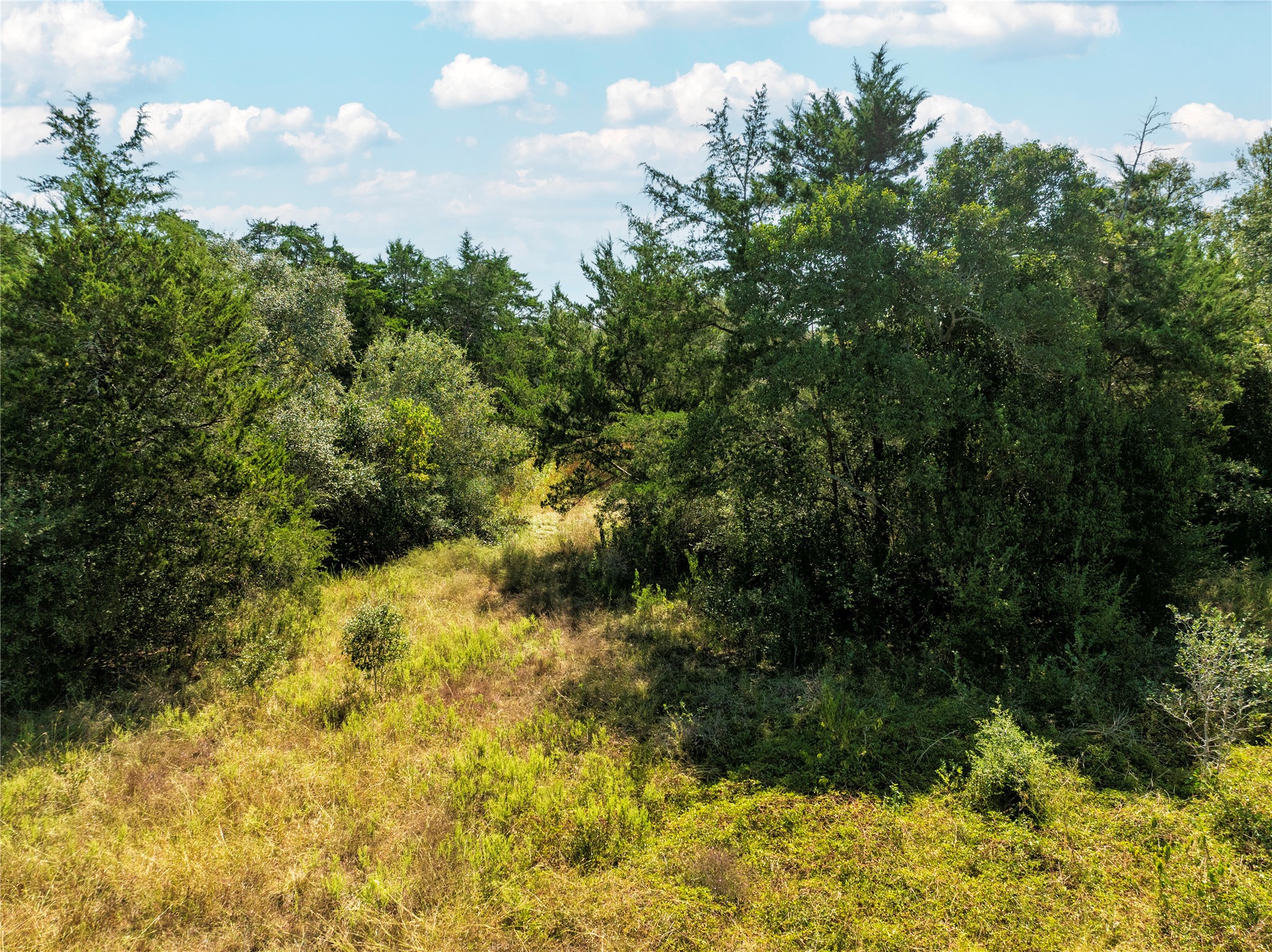 0 Fm 2238 Schulenburg, TX 78956 - Photo 7 of 8