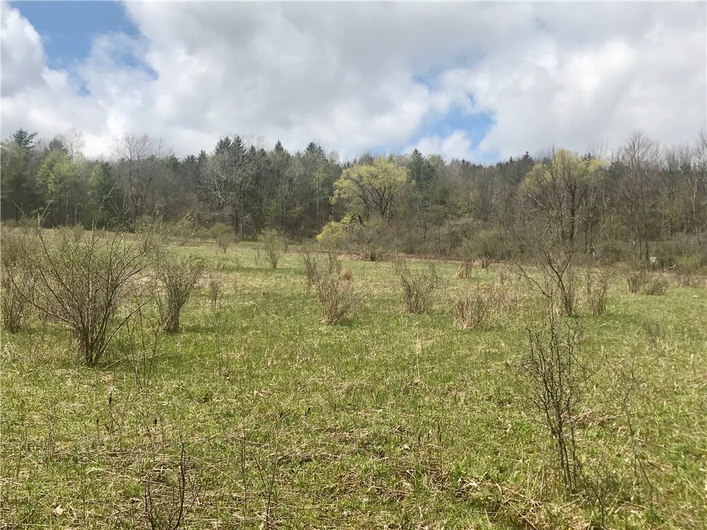 0 Kempshaw Road Hunt, NY 14846 - Photo 1 of 1