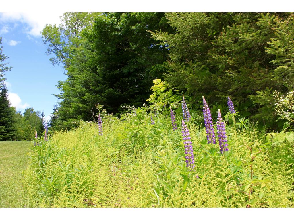 111 Obed Moore Road Weston, VT 05161 - Photo 17 of 21
