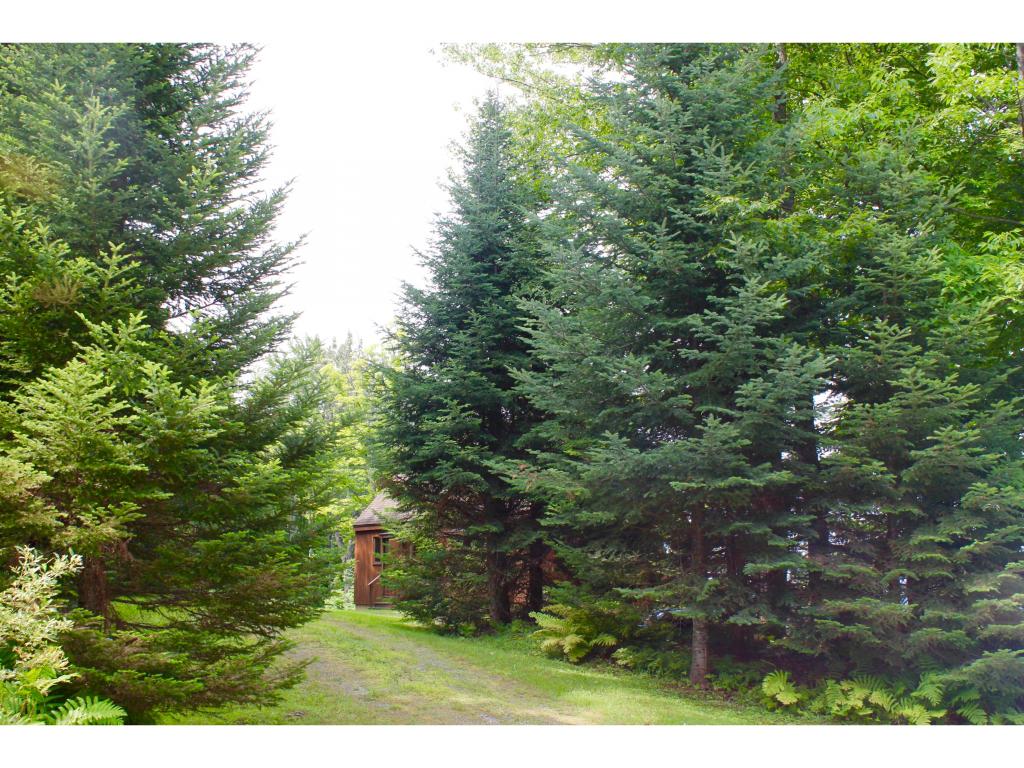 111 Obed Moore Road Weston, VT 05161 - Photo 20 of 21