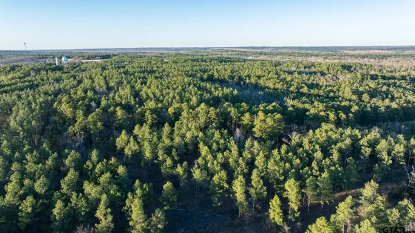 $5,208,696 | 0 Hwy 64 Ben Wheeler Tx 75754, Unit 1, Ben Wheeler, TX 75754