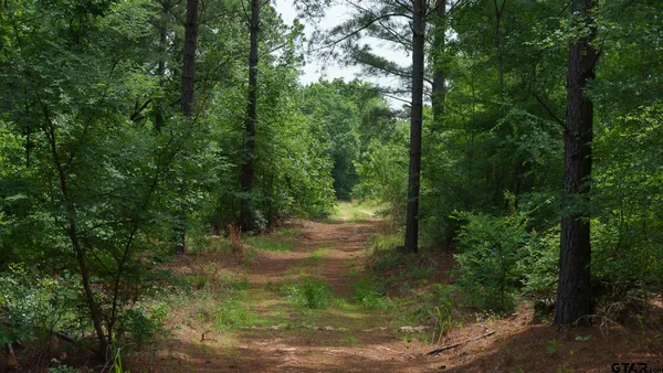 $5,208,696 | 0 Hwy 64 Ben Wheeler Tx 75754, Unit 1, Ben Wheeler, TX 75754