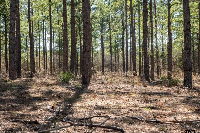 $5,208,696 | 0 Hwy 64 Ben Wheeler Tx 75754, Unit 1, Ben Wheeler, TX 75754