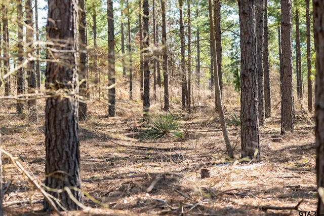 $5,208,696 | 0 Hwy 64 Ben Wheeler Tx 75754, Unit 1, Ben Wheeler, TX 75754