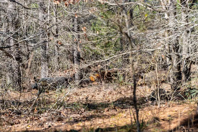 $5,208,696 | 0 Hwy 64 Ben Wheeler Tx 75754, Unit 1, Ben Wheeler, TX 75754