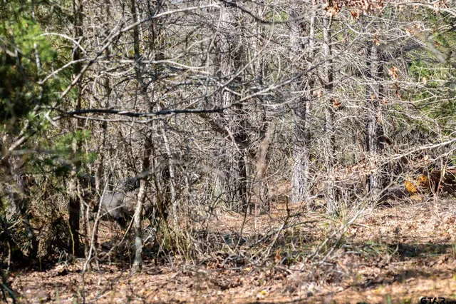 $5,208,696 | 0 Hwy 64 Ben Wheeler Tx 75754, Unit 1, Ben Wheeler, TX 75754