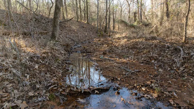 $5,208,696 | 0 Hwy 64 Ben Wheeler Tx 75754, Unit 1, Ben Wheeler, TX 75754