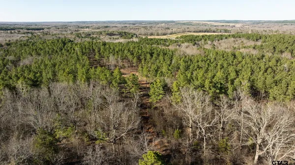 $5,208,696 | 0 Hwy 64 Ben Wheeler Tx 75754, Unit 1, Ben Wheeler, TX 75754