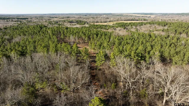 $5,208,696 | 0 Hwy 64 Ben Wheeler Tx 75754, Unit 1, Ben Wheeler, TX 75754