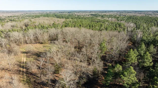 $5,208,696 | 0 Hwy 64 Ben Wheeler Tx 75754, Unit 1, Ben Wheeler, TX 75754