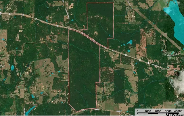 $5,208,696 | 0 Hwy 64 Ben Wheeler Tx 75754, Unit 1, Ben Wheeler, TX 75754