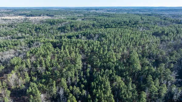 $5,208,696 | 0 Hwy 64 Ben Wheeler Tx 75754, Unit 1, Ben Wheeler, TX 75754
