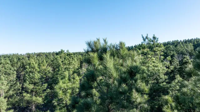 $5,208,696 | 0 Hwy 64 Ben Wheeler Tx 75754, Unit 1, Ben Wheeler, TX 75754