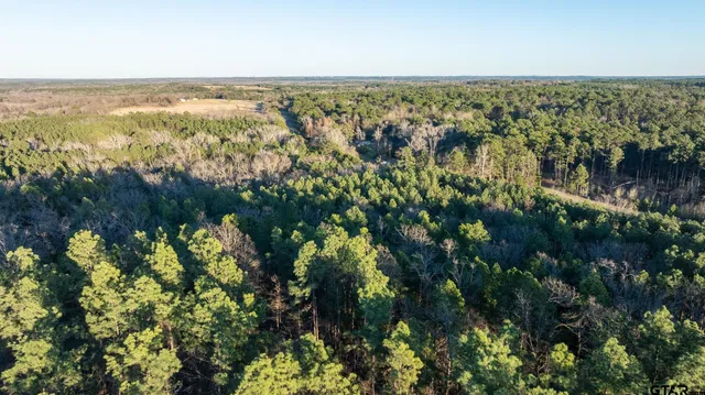 $5,208,696 | 0 Hwy 64 Ben Wheeler Tx 75754, Unit 1, Ben Wheeler, TX 75754