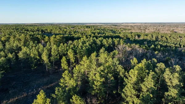 $5,208,696 | 0 Hwy 64 Ben Wheeler Tx 75754, Unit 1, Ben Wheeler, TX 75754