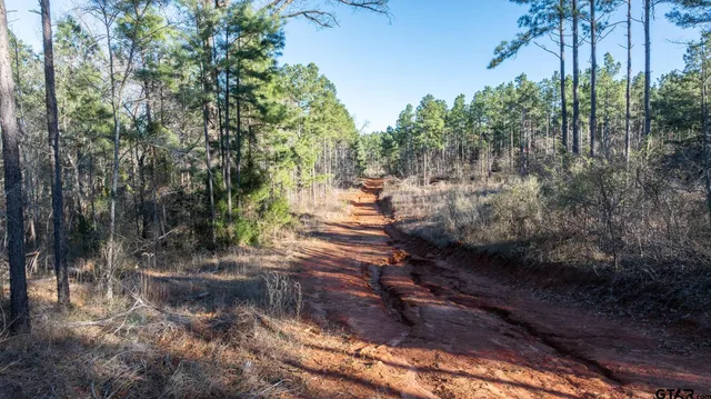 $5,208,696 | 0 Hwy 64 Ben Wheeler Tx 75754, Unit 1, Ben Wheeler, TX 75754