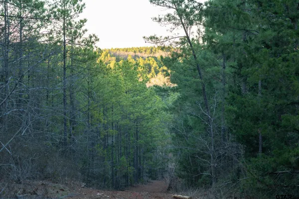 $5,208,696 | 0 Hwy 64 Ben Wheeler Tx 75754, Unit 1, Ben Wheeler, TX 75754