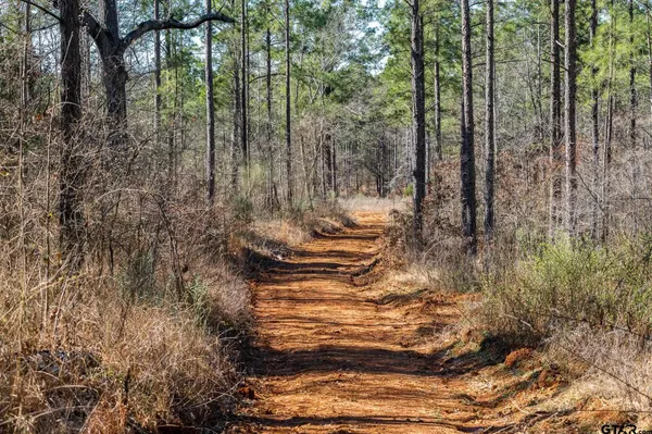 $5,208,696 | 0 Hwy 64 Ben Wheeler Tx 75754, Unit 1, Ben Wheeler, TX 75754