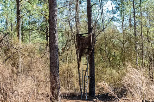 $5,208,696 | 0 Hwy 64 Ben Wheeler Tx 75754, Unit 1, Ben Wheeler, TX 75754