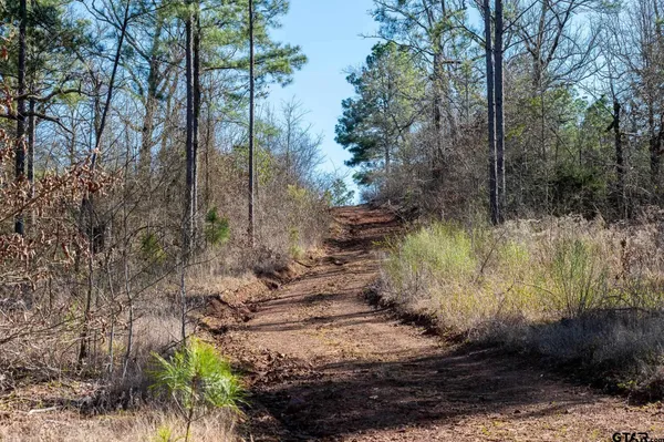 $5,208,696 | 0 Hwy 64 Ben Wheeler Tx 75754, Unit 1, Ben Wheeler, TX 75754