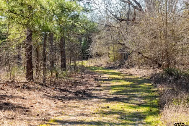 $5,208,696 | 0 Hwy 64 Ben Wheeler Tx 75754, Unit 1, Ben Wheeler, TX 75754