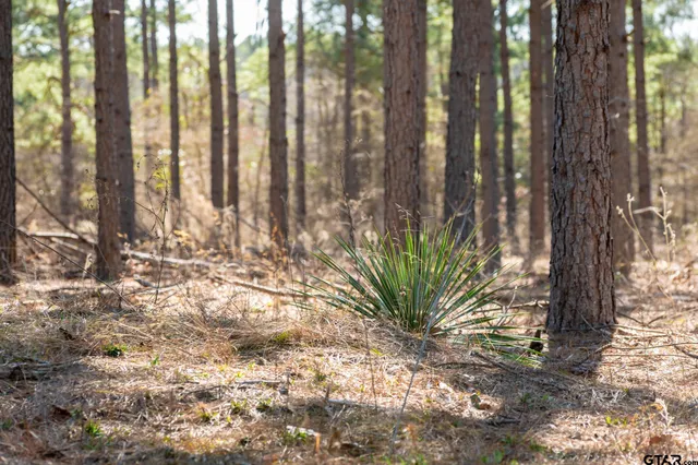 $5,208,696 | 0 Hwy 64 Ben Wheeler Tx 75754, Unit 1, Ben Wheeler, TX 75754