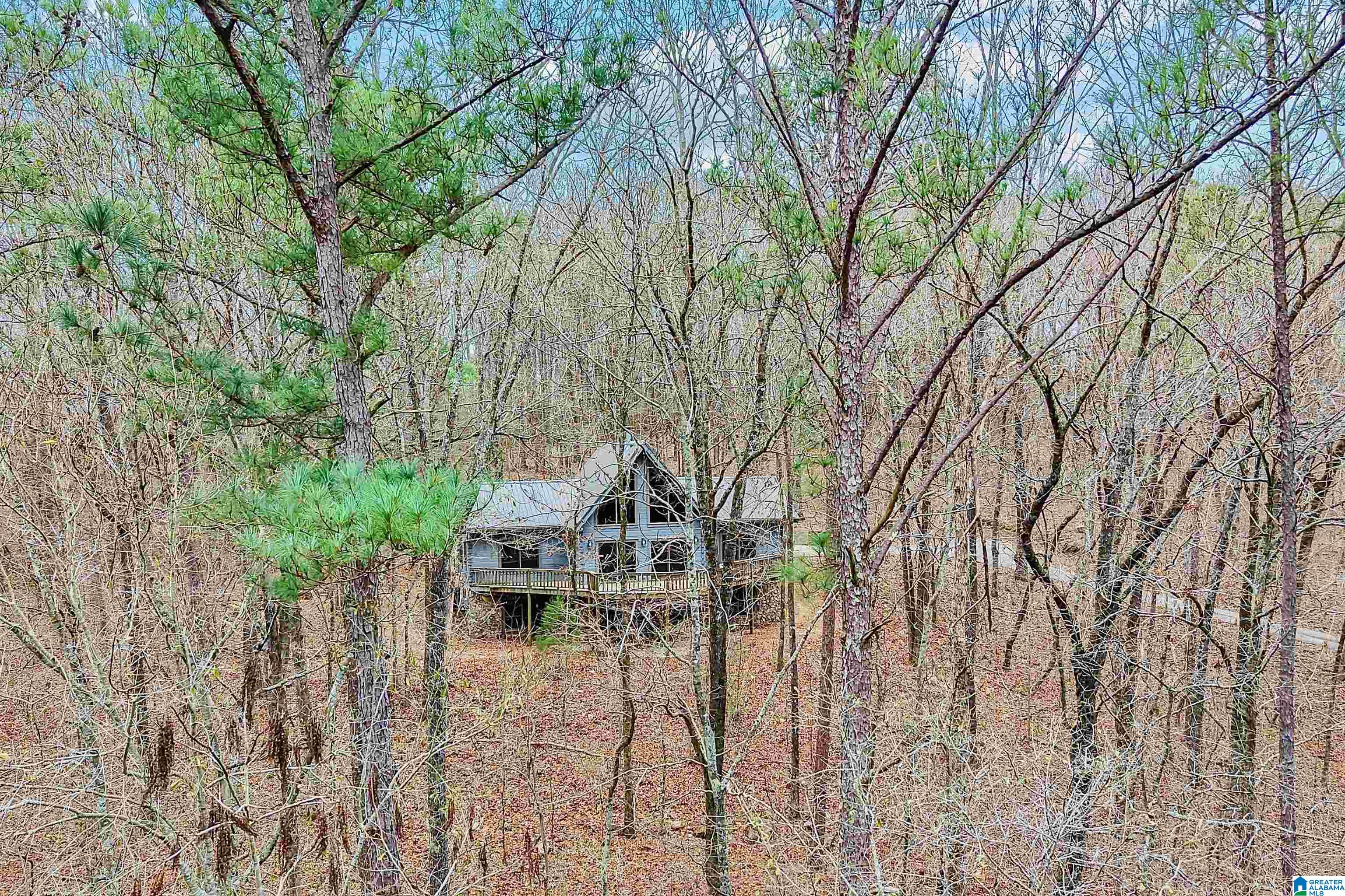 266 Davis Acres Drive Alpine, AL 35014 - Photo 53 of 60