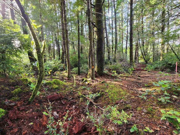 $125,000 | Kreiger Lane, Unit 122, Port Orford, OR 97465