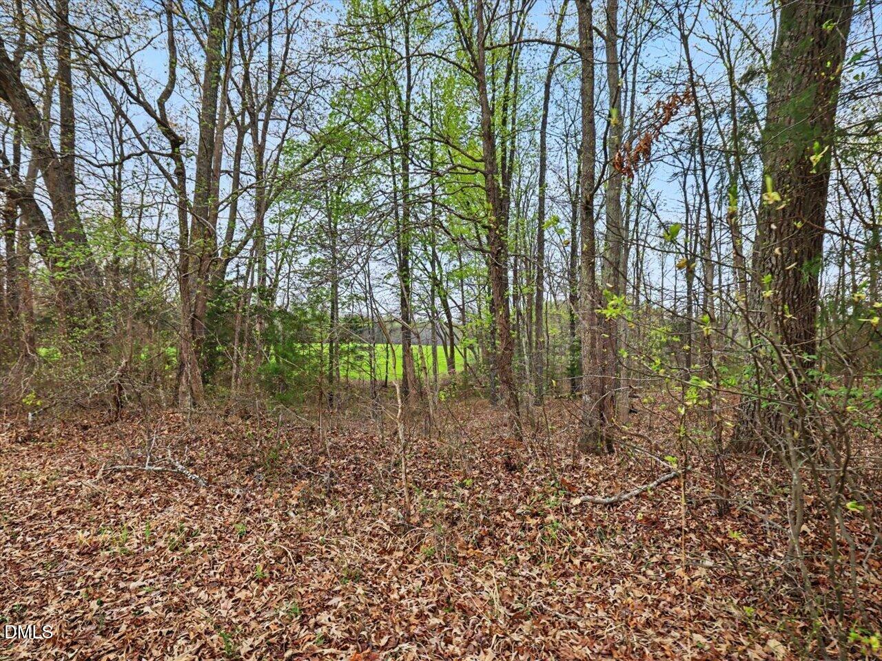7793 Ridgeville Road Leasburg, NC 27291 - Photo 47 of 91